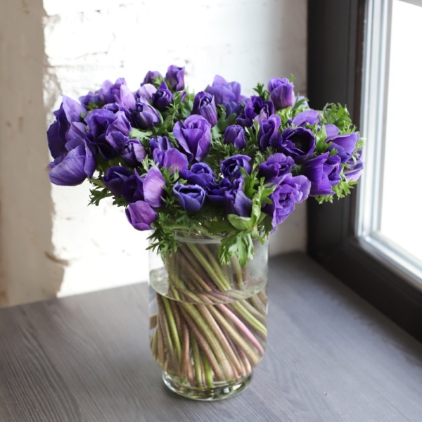 Anemones in a vase - 49 анемон