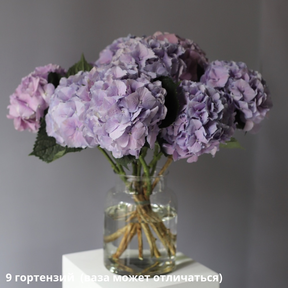 Hydrangeas in a vase Hydrangeas in a vase -  9 гортензий  (ваза может отличаться)