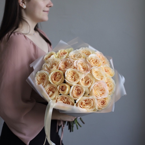 Princess Maya garden roses - 23 розы