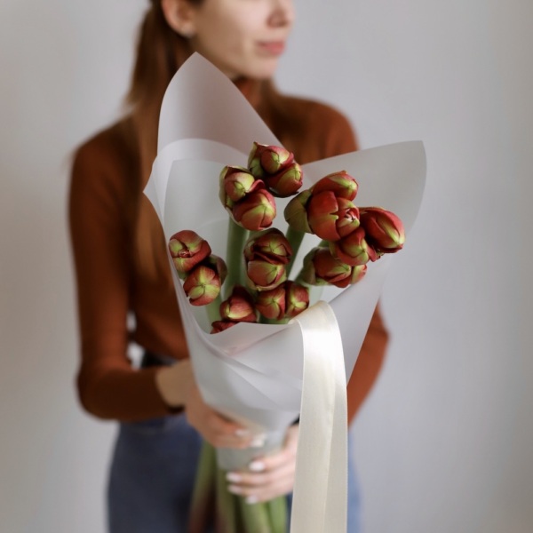 Red Amaryllis Red Amaryllis - 9 амариллисов