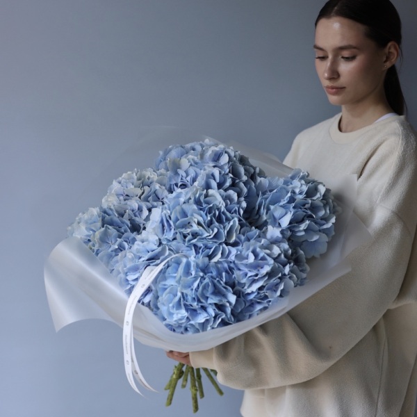 Skyblue Hydrangea - 5 гортензий 