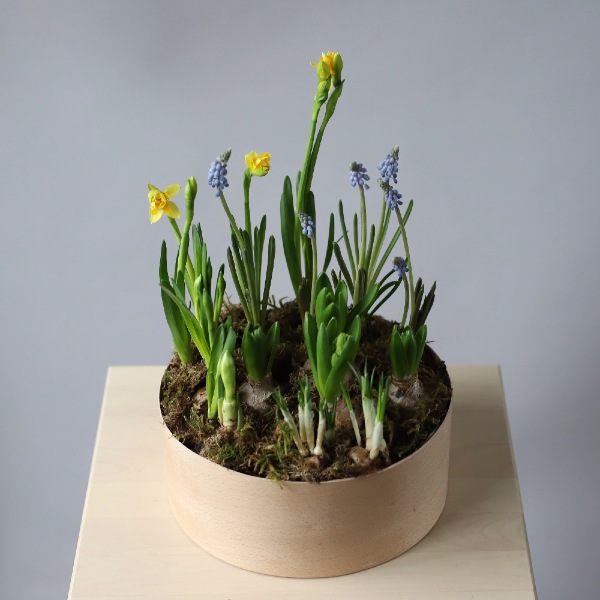 Spring flowers in a hat box