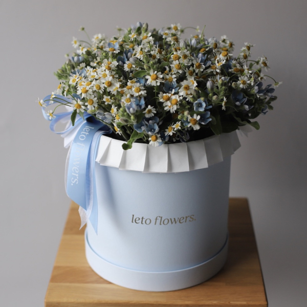 Chamomile with Oxypetalum in a hat box - Размер M
