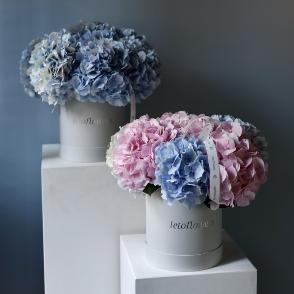 Hydrangeas in a hat box Hydrangeas in a hat box - Размер S