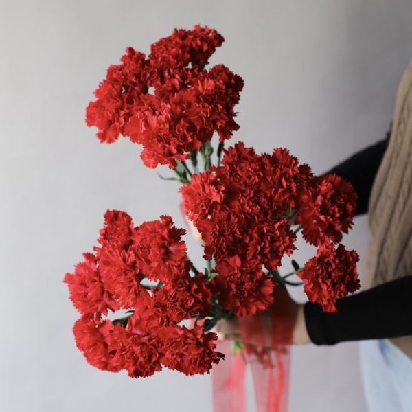 Red carnations - 3 букета по 9 гвоздик