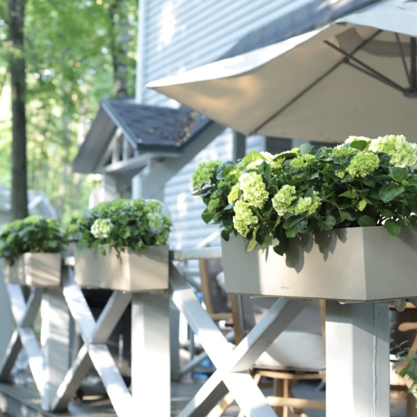 Оформление веранды