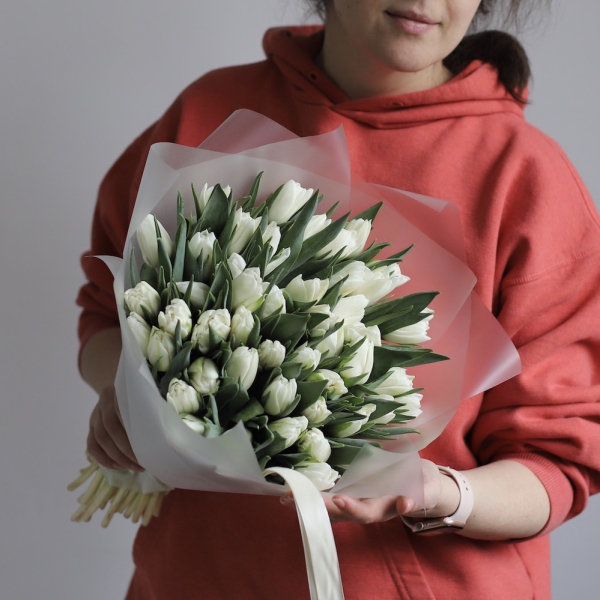 White Tulips - 49 тюльпанов