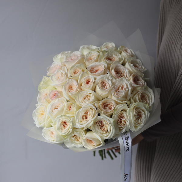 “White Ohara Rose”