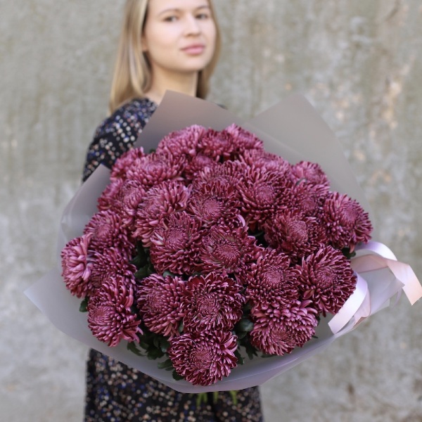 Violet Chrysanthemum - 29 хризантем