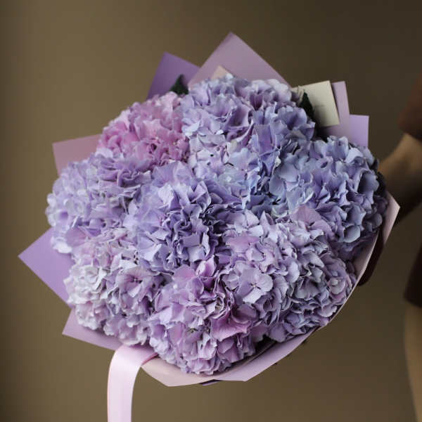 Lavender Hydrangea - 9 гортензий