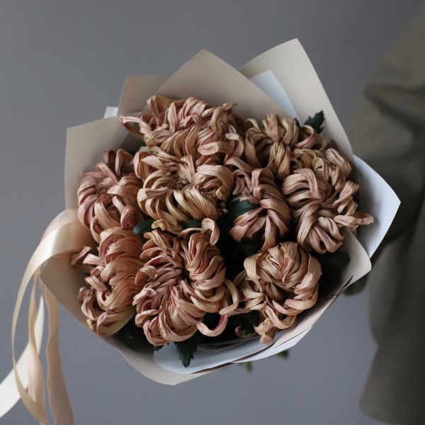 Curly caramel Chrysanthemum - 9 хризантем