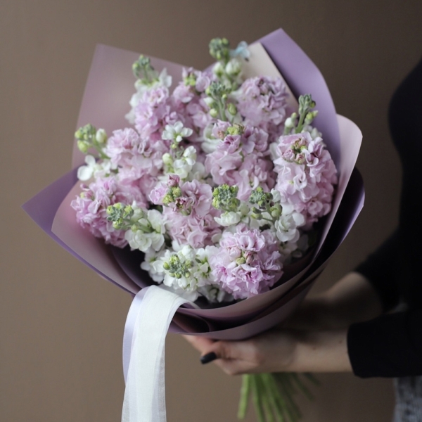 Mixed color Stock - 19 маттиол