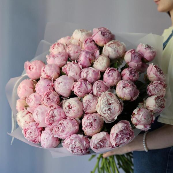 Pink Peony - 49 пионов