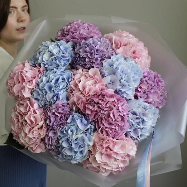 “Mixed color Hydrangeas”, photo 2