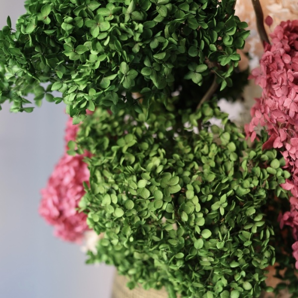 Arrangement of Preserved Hydrangeas in a Pot