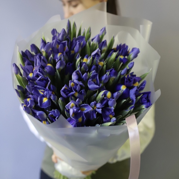 Iris -  49 ирисов 