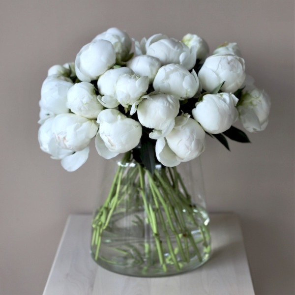 Gentle peonies in a vase - 29 пионов