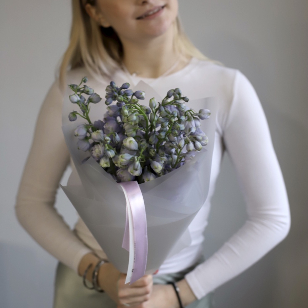 Lavender Delphinium Lavender Delphinium - 9 дельфиниумов