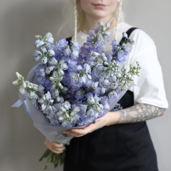 Lavender Delphinium - 19 дельфиниумов