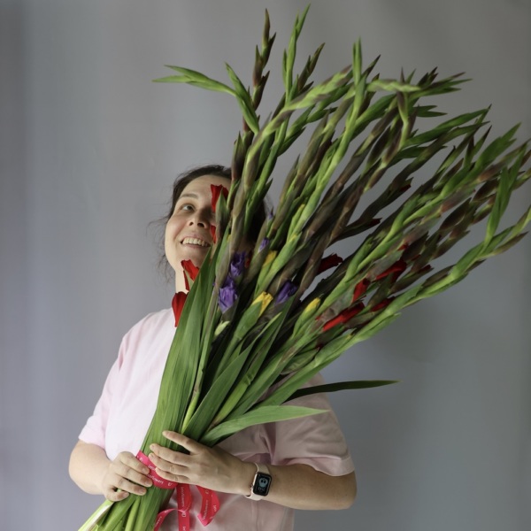 Mixed color Gladiolus -  29 гладиолусов 