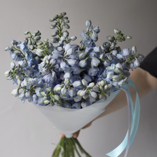 Skyblue Delphinium Skyblue Delphinium - 19 дельфиниумов