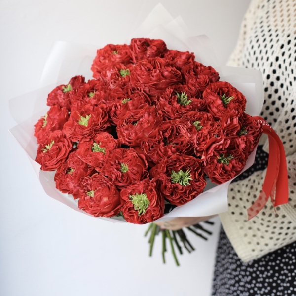 Red Eye Garden Rose - 25 роз