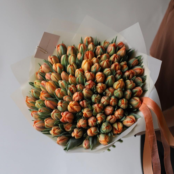 Orange Tulips - 99 тюльпанов