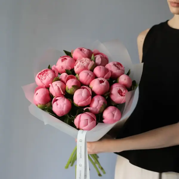 Salmon Peony - 19 пионов