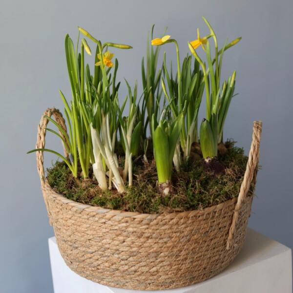 Весенние цветы в корзинке - Размер L