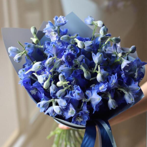 Blue Delphinium - 15 дельфиниумов
