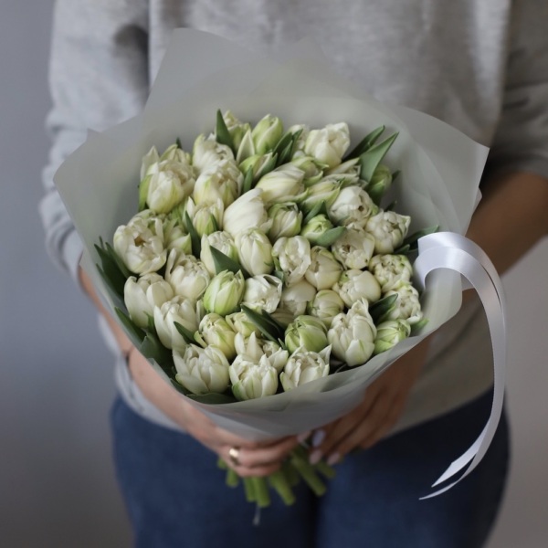 White Tulips - 39 тюльпанов