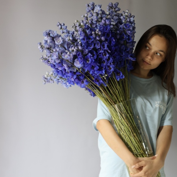 Delphinium in a vase - 99 дельфиниумов
