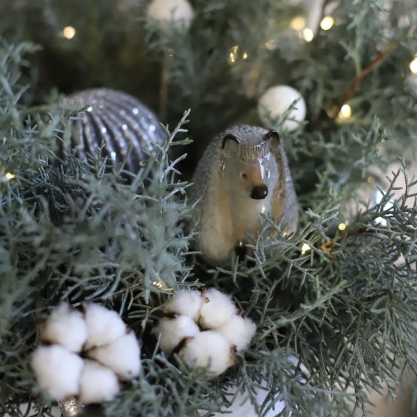 New Year box 'Hedgehog in the Fog' 