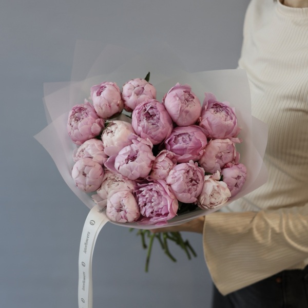 Pink Peony - 19 пионов