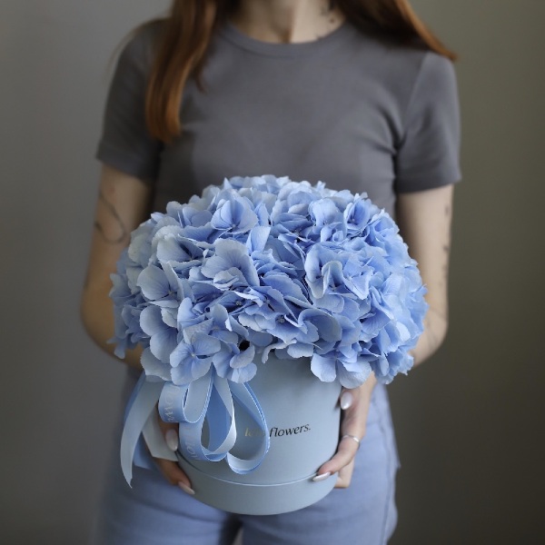 Hydrangea in a hat box - Размер S 