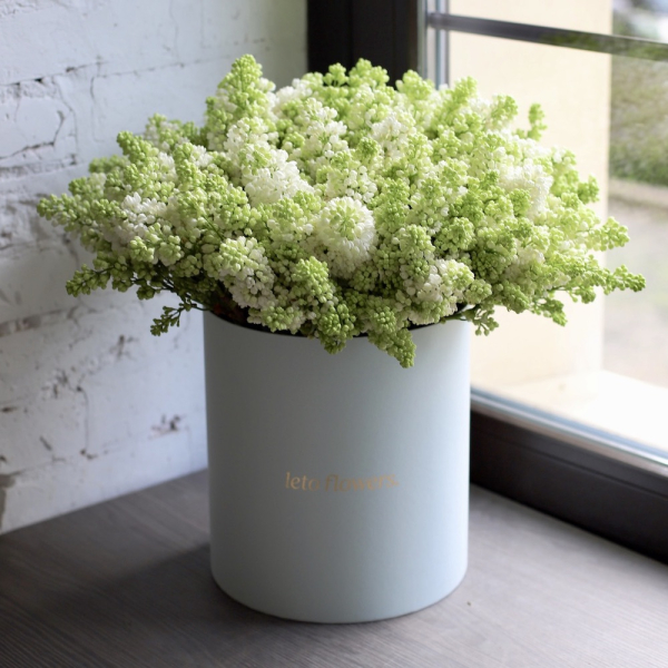 Lilac in a hat box -  Размер L 