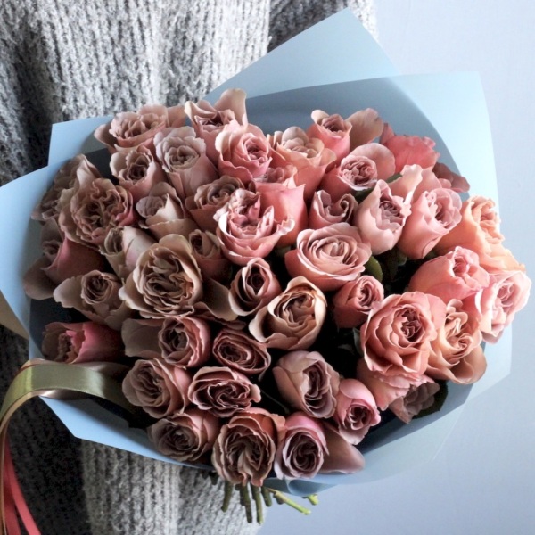 Cafe Latte Garden Rose - 43 розы