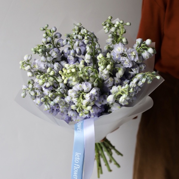 Lavender Delphinium - 19 дельфиниумов