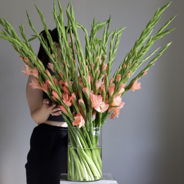 Gladioluses in a vase - 39 гладиолусов