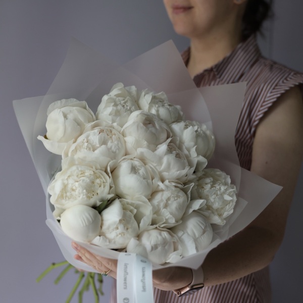 White Peony - 15 пионов