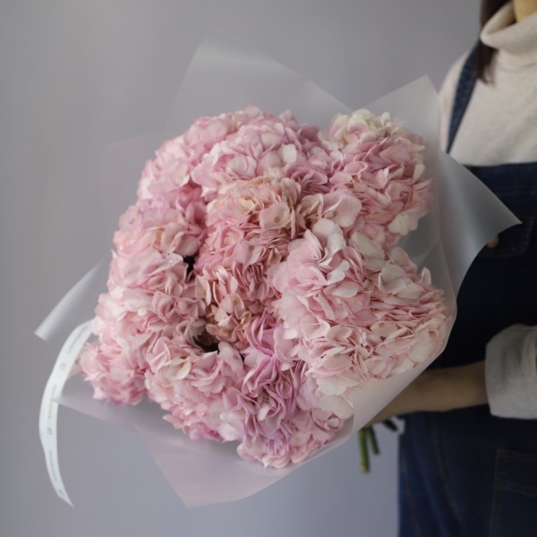 Colombian Hydrangeas - 9 гортензий