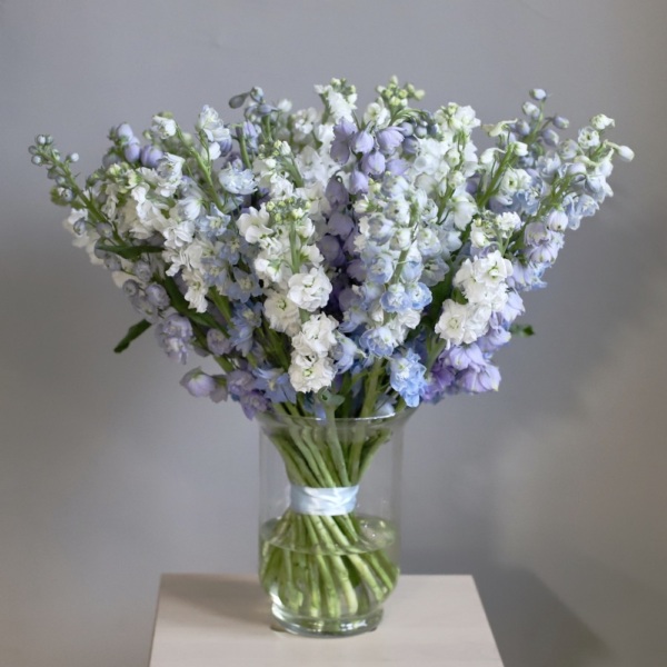 Stock and Delphinium in a vase - Размер M