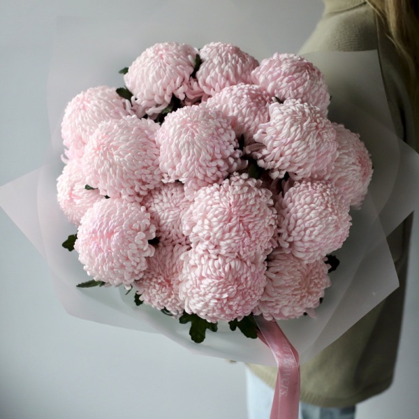 Large pink Chrysanthemum - 19 хризантем