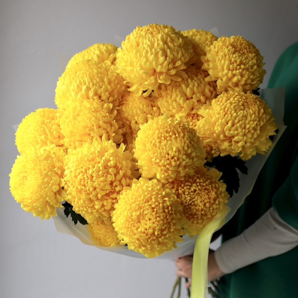 Large yellow Chrysanthemum - 19 хризантем