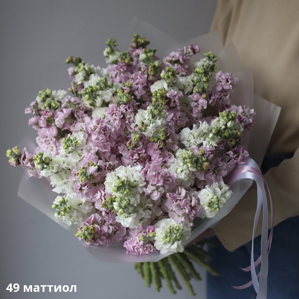 Mixed color Stock Mixed color Stock -  49 маттиол