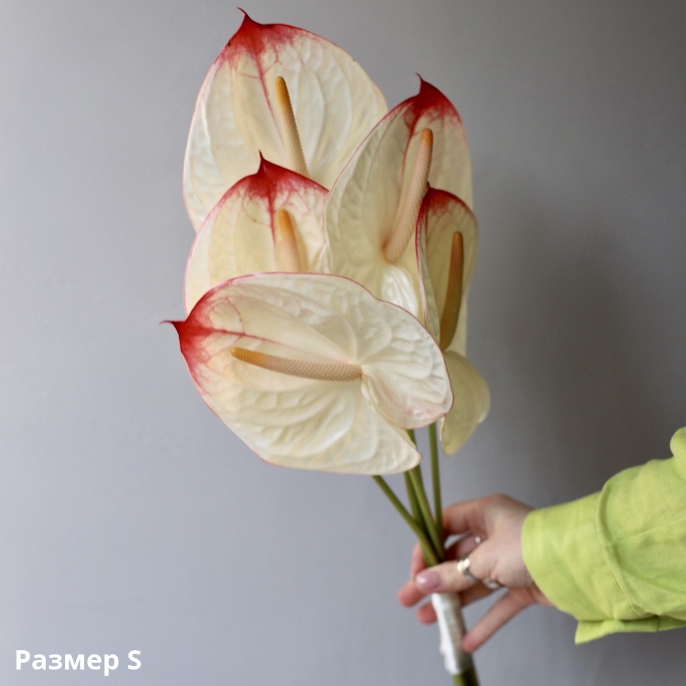 Bridal bouquet of Anthurium Bridal bouquet of Anthurium -  Размер S