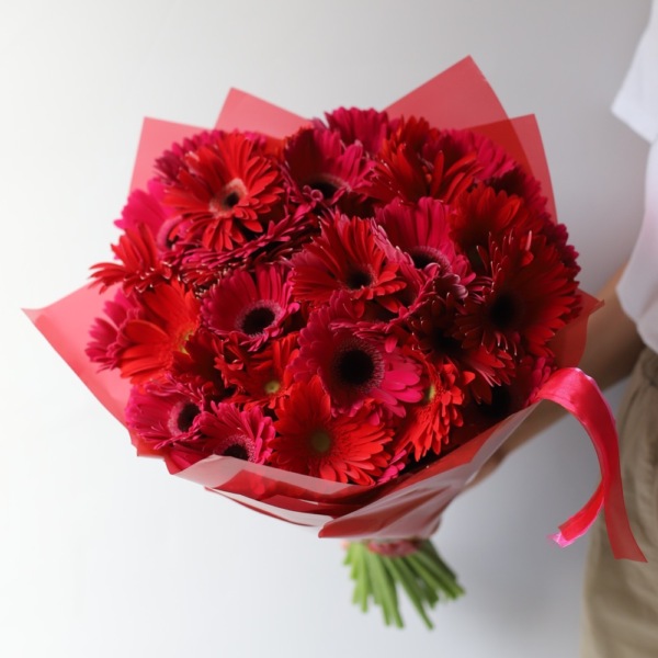 Red Gerbera - 39 гербер 