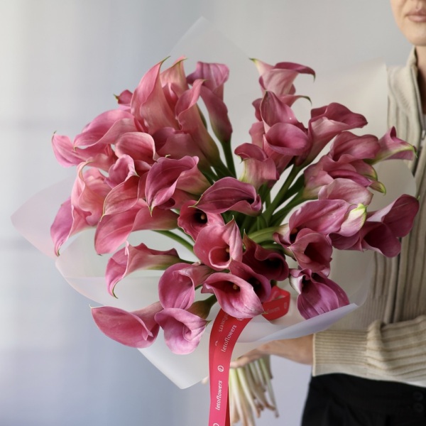 Pink Calla Lily - 49 калл