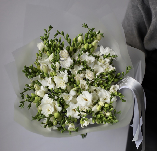 “White Freesia”, photo 2