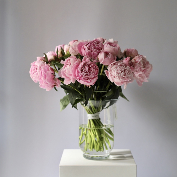 Pink Peonies in a vase -  29 пионов